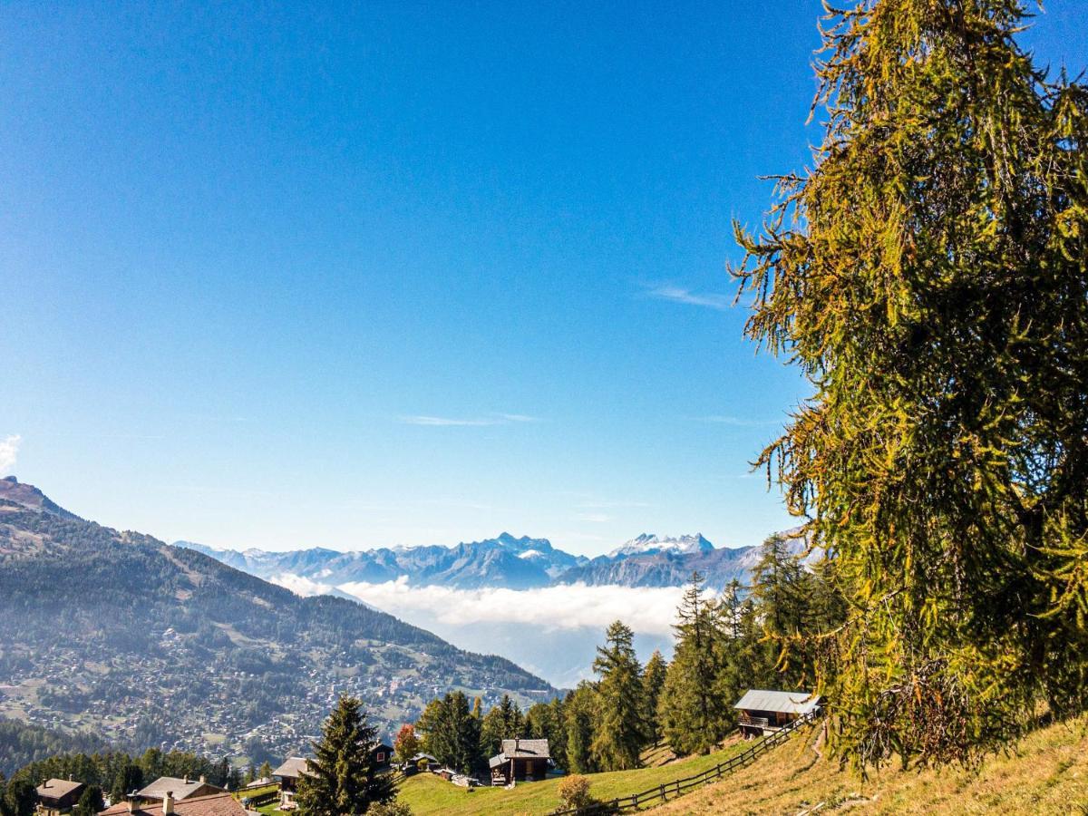 Pracondu Outdoor & Fun Appartement 1 Chambre Avec Balcon By Alpvision Residences Nendaz Exterior foto